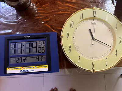 Pair of Wall Clocks - Ajanta Analog and Casio Digital with Thermometer