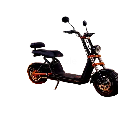 Kugoo City Electric Scooter