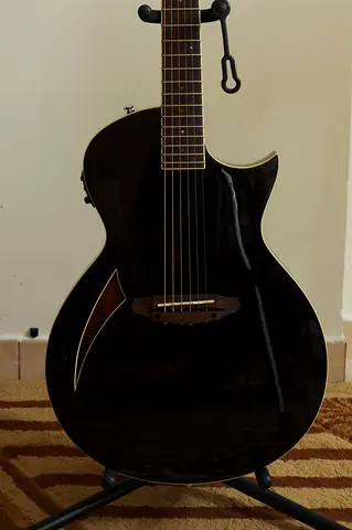 ESP LTD TL-6 Thinline Electric Acoustic Guitar