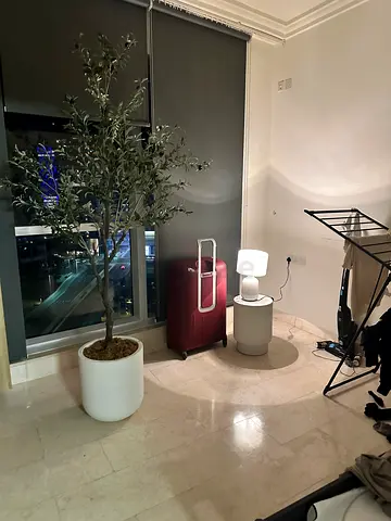 Artificial plant olive tree