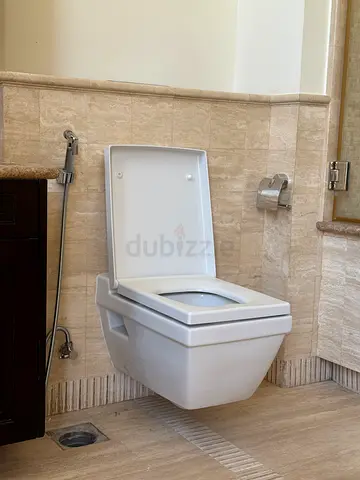 Modern Bathroom Toilet