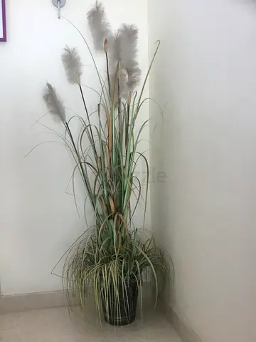 Artificial pampas grass floor plant