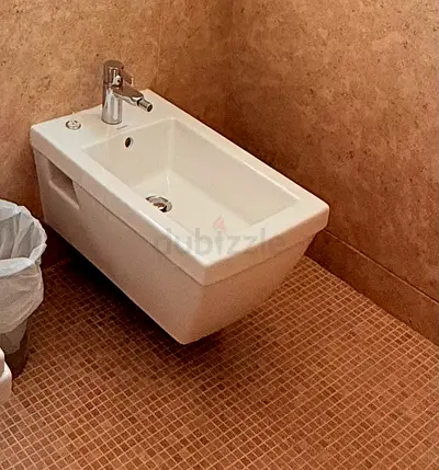 Wall- Hung Bidet