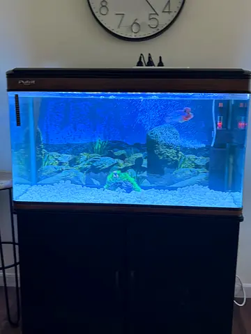 Fish aquarium with black cabinet stand