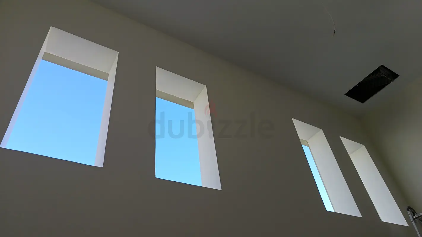 DPV_View_Image_2