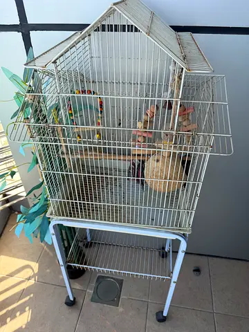 Bird cage with stand , food and accessories -  very good used condition