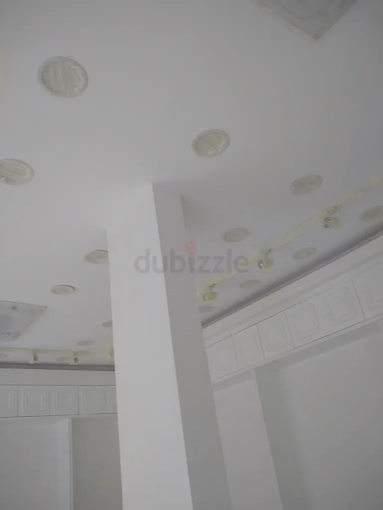 DPV_View_Image_7