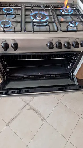 Stainless Steel Gas Range with Oven - Good Working Condition