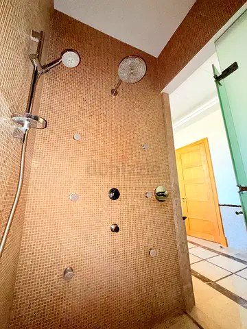 Shower accessories