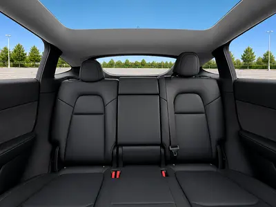2022 Tesla MODEL Y 照片 10