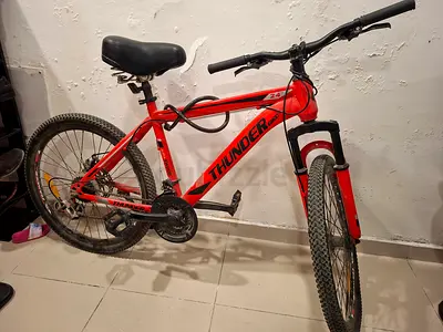Thunderbird Bicycle 24