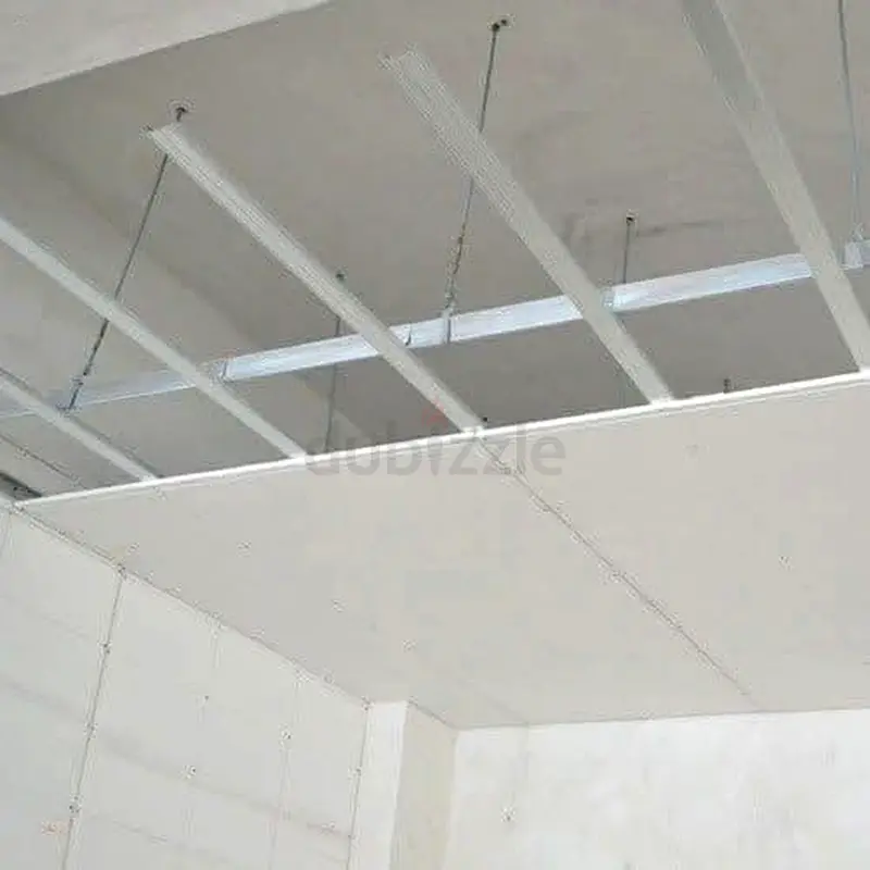 DPV_View_Image_2