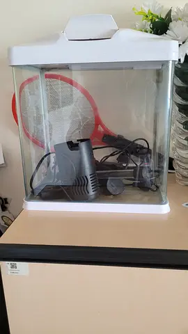 Fish tank