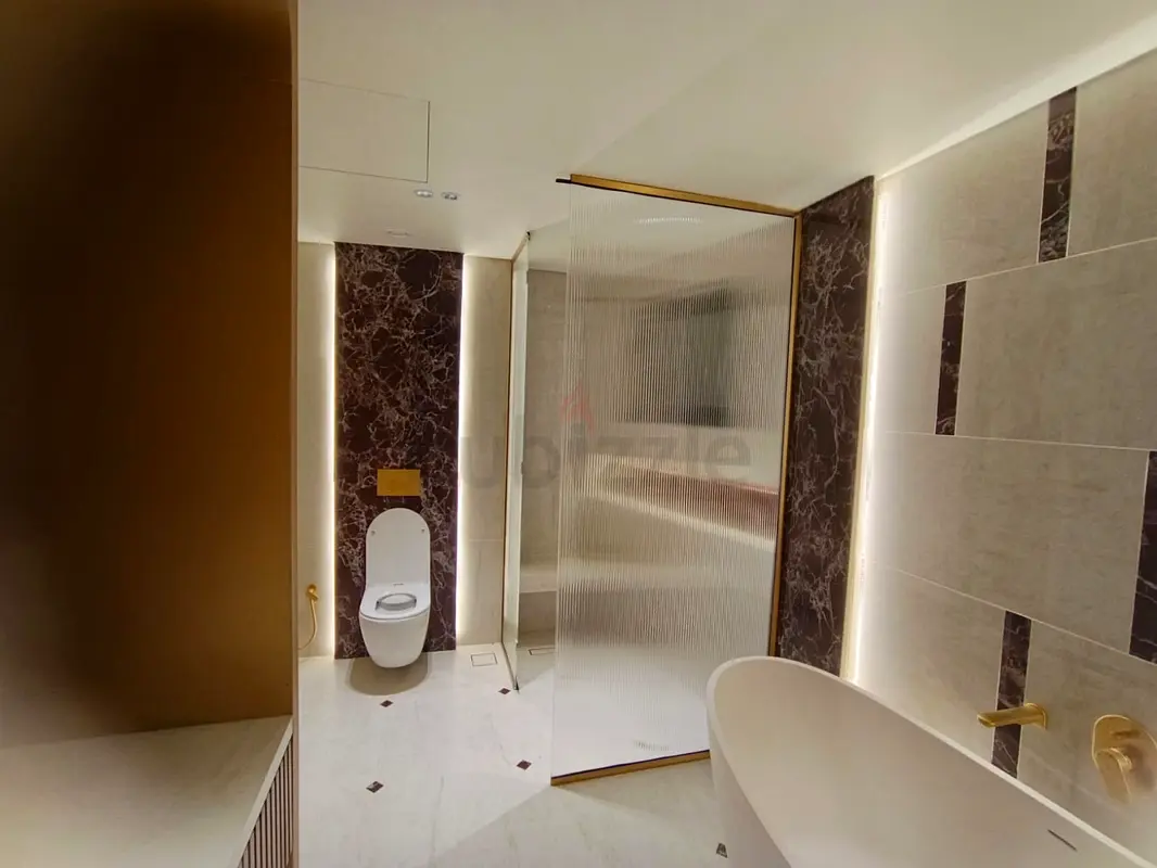 DPV_View_Image_4