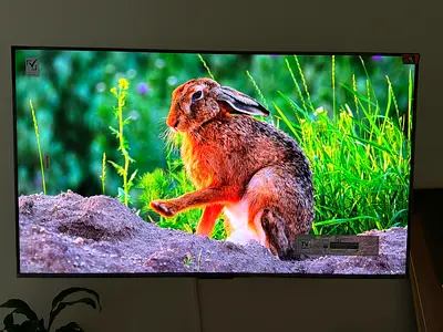 55-inch LED Smart TV in Excellent Condition