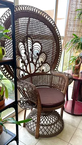 Vintage style rattan Peacock chair