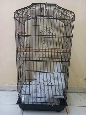 Large metal bird cage with perches and trays - good condition