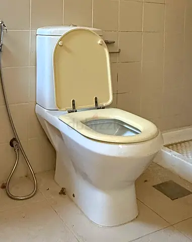 Bathroom toilet
