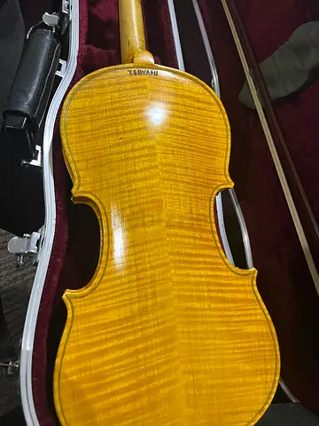 Hand made violin
