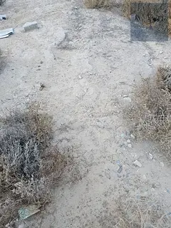 Residential land for sale in Al Manama / Ajman
