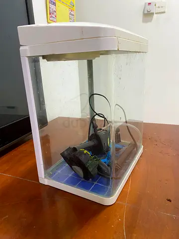 Fish Tank for Sale