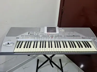KORG PA800 _ EX 256 RAM