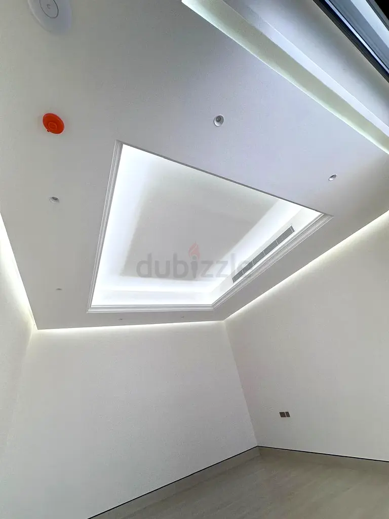 DPV_View_Image_2