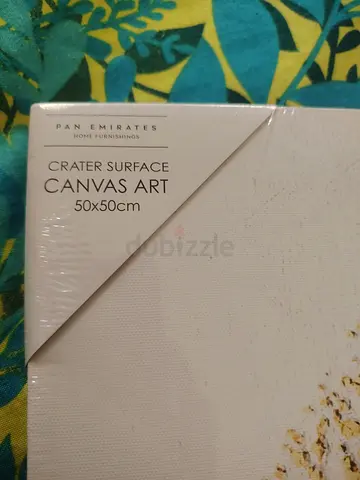 Pan Emirates 50x50cm Crater Surface Canvas Art - New, Sealed