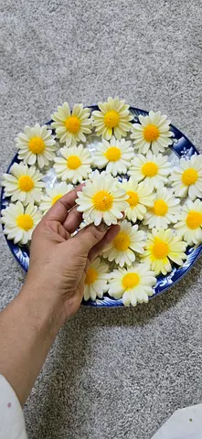 Set of Brand New Daisy candles — White  Yellow