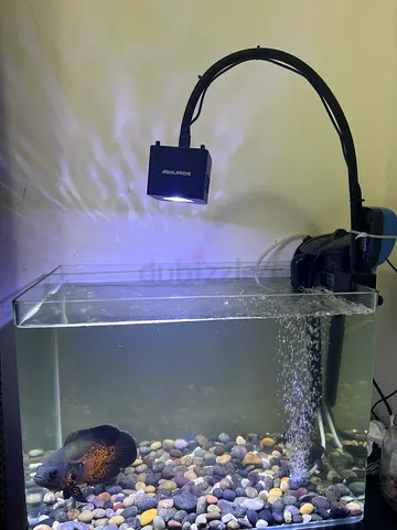 Premium Rimless Fish Tank Setup – Includes Aqua Medic LED, HOB Filter,  Accessories