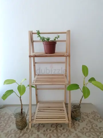 Indoor plants with stand