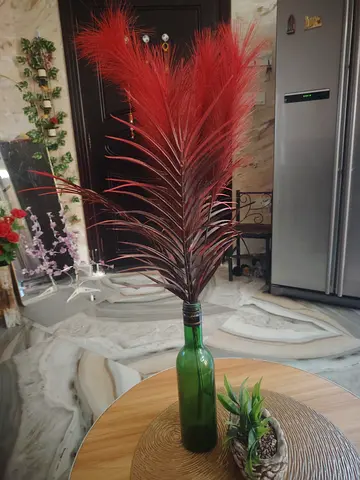 Decorative red feather arrangement in green bottle - gently used