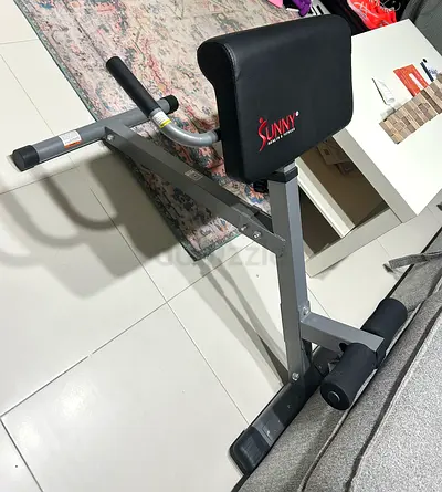 Sunny Health  Fitness Back Extension / Roman Chair - Good Condition
