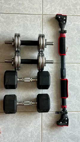 Pair of Dumbbells and Pull Up Bar Set