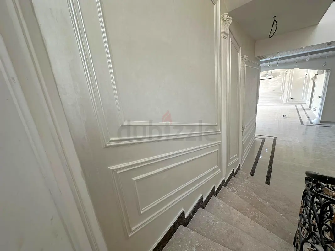 DPV_View_Image_4