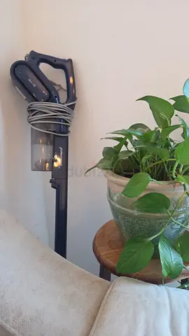 Plants