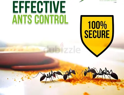 Ants can sneak into your home through the tiniest cracks our targeted ant control solution