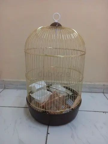Round metal bird cage with base and perches - good condition