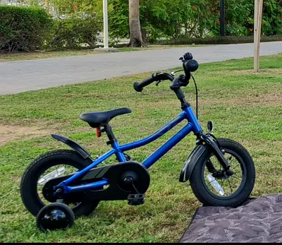 Blue kids 12-inch bicycle - good condition, ready to ride