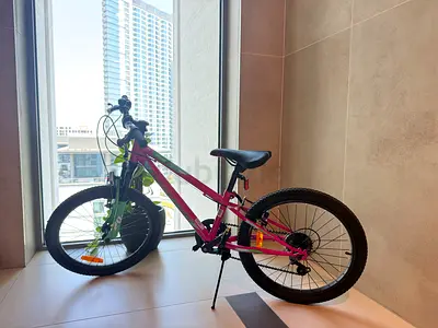 Pink 20-inch Kids Mountain Bike - Good Condition