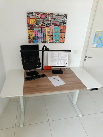 Adjustable Electric Standing Desk (160 x 76 cm) with Lamp and Adjustable Book Stands