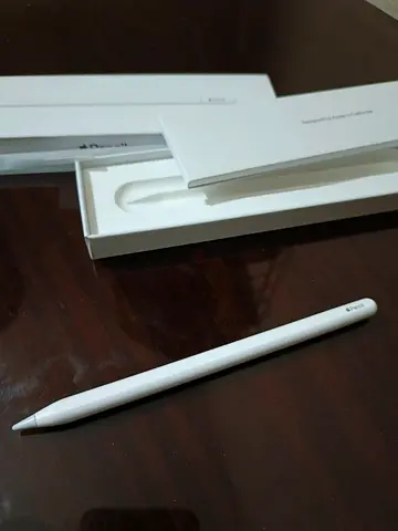 APPLE pencil usb Type C perfectly compatible with Ipad