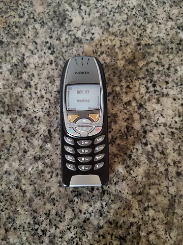 Nokia 6310i