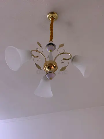 Hanging lights