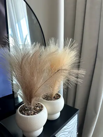 Set of Two Decorative Pampas Grass Arrangements in Ceramic Pots