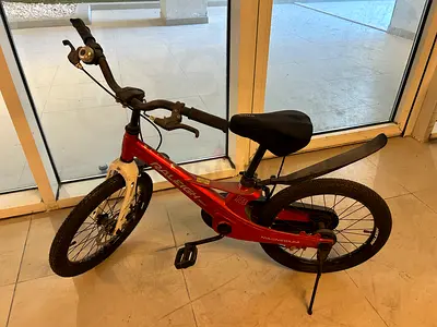 Raleigh Magnesium 18 Kids Bike Red