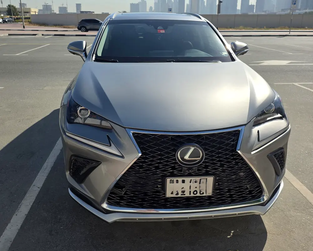 Lexus NX-Series 2018 — photo 1 of 8