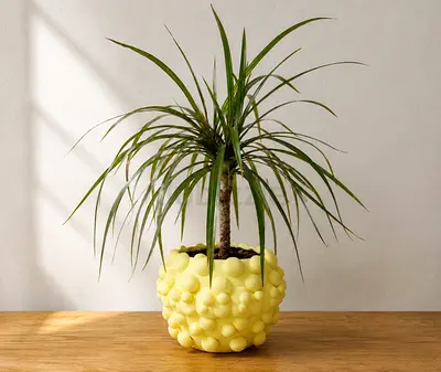 🔥 SALE / Designer Plant Pots / Yellow S 🔥
