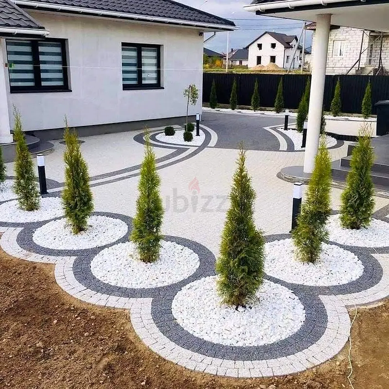 DPV_View_Image_8