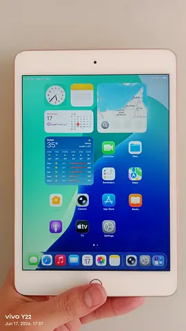 Original Apple ipad mini5-256gb for sale!!!